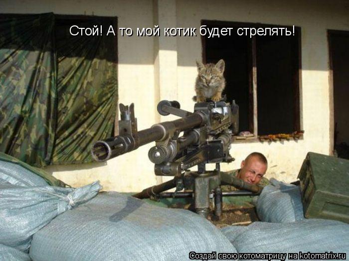 Стой! А то мой котик будет стрелять!... Котоматрица: Стой! А то мой котик будет стрелять!