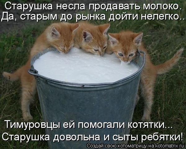 Старушка несла продавать молоко. Да, старым до рынка дойти нелегко... Тимуровцы ей помогали котятки..... Котоматрица: Старушка несла продавать молоко. Да, старым до рынка дойти нелегко... Тимуровцы ей помогали котятки... Старушка довольна и сыты ребятки!