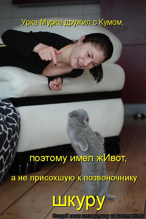 Урка Мурка дружил с Кумом, поэтому имел жИвот, а не присохшую к позвоночнику шкуру... Котоматрица: Урка Мурка дружил с Кумом, поэтому имел жИвот, а не присохшую к позвоночнику шкуру