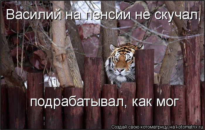 Василий на пенсии не скучал, подрабатывал, как мог... Котоматрица: Василий на пенсии не скучал, подрабатывал, как мог