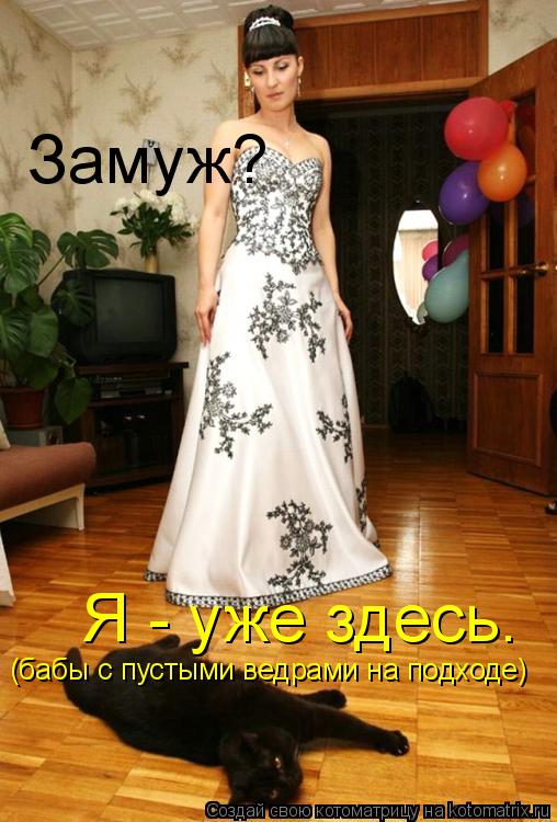 Замуж? Я - уже здесь. (бабы с пустыми ведрами на подходе)... Котоматрица: Замуж? Я - уже здесь. (бабы с пустыми ведрами на подходе)