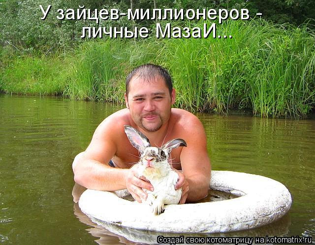 У зайцев-миллионеров - личные МазаИ...... Котоматрица: У зайцев-миллионеров - личные МазаИ...