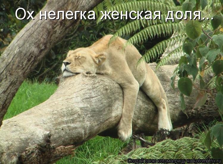 Ох нелегка женская доля...... Котоматрица: Ох нелегка женская доля...
