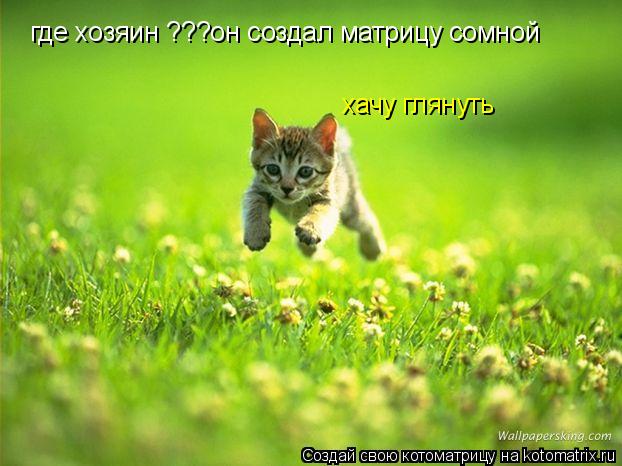где хозяин ???он создал матрицу сомной хачу глянуть... Котоматрица: где хозяин ???он создал матрицу сомной хачу глянуть