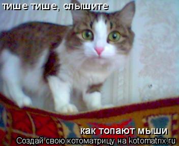 тише тише, слышите как топают мыши как топают мыши... Котоматрица: тише тише, слышите как топают мыши как топают мыши