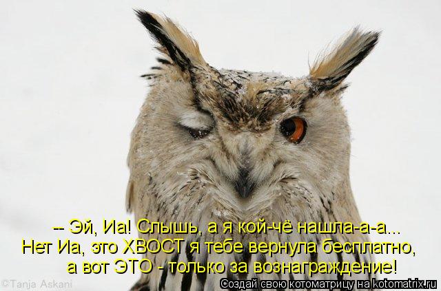 -- Эй, Иа! Слышь, а я кой-чё нашла-а-а... Нет Иа, это ХВОСТ я тебе вернула бесплатно, а вот ЭТО - тол... Котоматрица: -- Эй, Иа! Слышь, а я кой-чё нашла-а-а... Нет Иа, это ХВОСТ я тебе вернула бесплатно, а вот ЭТО - только за вознаграждение!