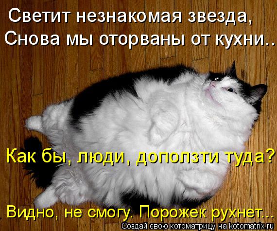 Котоматрица: Светит незнакомая звезда,  Снова мы оторваны от кухни... Как бы, люди, доползти туда?  Видно, не смогу. Порожек рухнет...