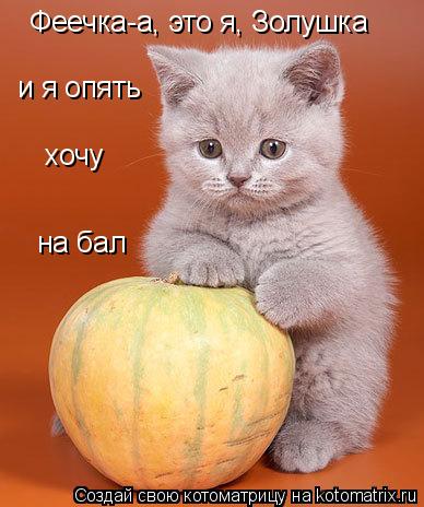 Феечка-а, это я, Золушка и я опять хочу на бал... Котоматрица: Феечка-а, это я, Золушка и я опять хочу на бал
