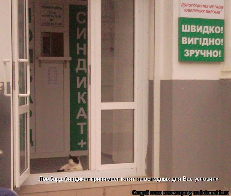 Ломбард Синдикат принимает котят на выгодных для Вас условиях... Котоматрица: Ломбард Синдикат принимает котят на выгодных для Вас условиях