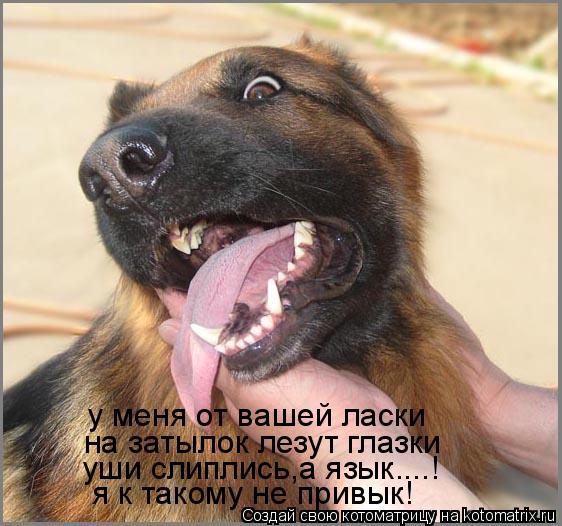 у меня от вашей ласки на затылок лезут глазки уши слиплись,а язык....! я к такому не привык!... Котоматрица: у меня от вашей ласки на затылок лезут глазки уши слиплись,а язык....! я к такому не привык!