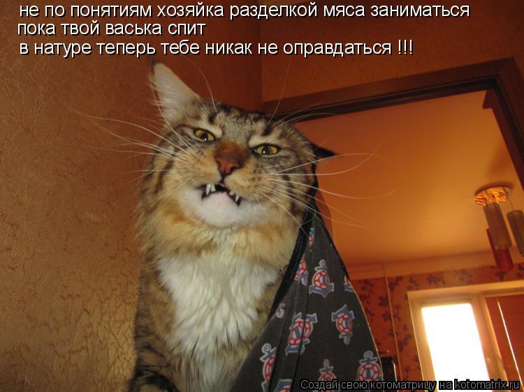 не по понятиям хозяйка разделкой мяса заниматься пока твой васька спит в натуре теперь тебе никак не ... Котоматрица: не по понятиям хозяйка разделкой мяса заниматься пока твой васька спит в натуре теперь тебе никак не оправдаться !!!