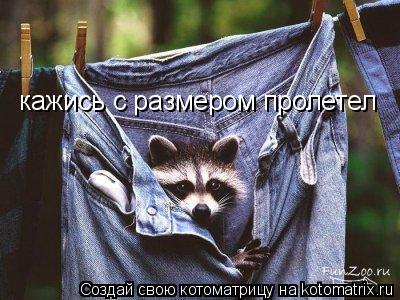 кажись с размером пролетел... Котоматрица: кажись с размером пролетел