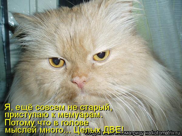 Я, ещё совсем не старый, приступаю к мемуарам. Потому что в голове мыслей много... Целых ДВЕ!... Котоматрица: Я, ещё совсем не старый, приступаю к мемуарам. Потому что в голове мыслей много... Целых ДВЕ!