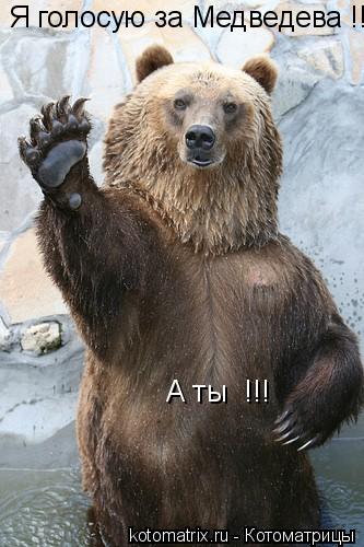 Я голосую за Медведева !!!! А ты !!!... Котоматрица: Я голосую за Медведева !!!! А ты !!!