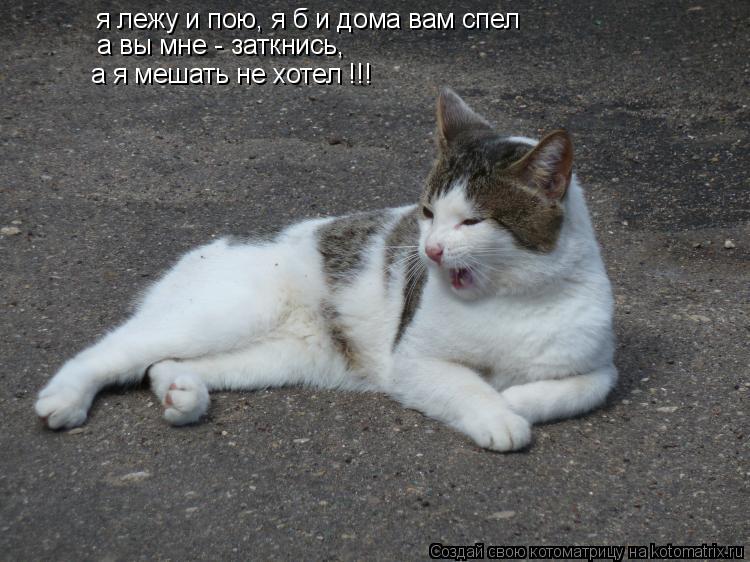 я лежу и пою, я б и дома вам спел а вы мне - заткнись, а я мешать не хотел !!!... Котоматрица: я лежу и пою, я б и дома вам спел а вы мне - заткнись, а я мешать не хотел !!!