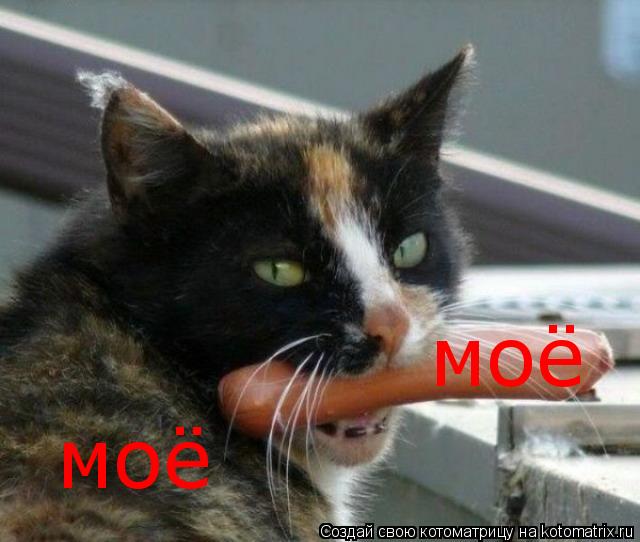 моё моё... Котоматрица: моё моё