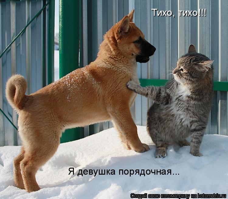 Тихо, тихо!!! Я девушка порядочная...... Котоматрица: Тихо, тихо!!! Я девушка порядочная...