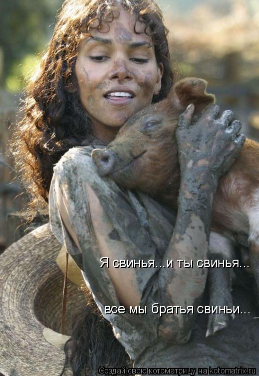 Я свинья...и ты свинья... все мы братья свиньи...... Котоматрица: Я свинья...и ты свинья... все мы братья свиньи...