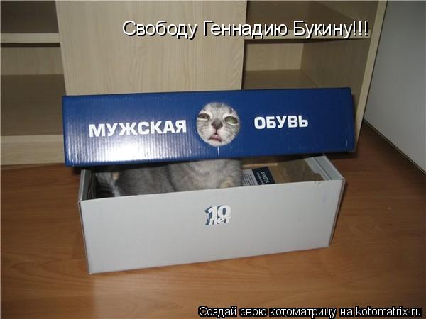 Свободу Геннадию Букину!!!... Котоматрица: Свободу Геннадию Букину!!!