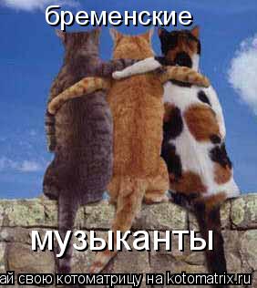 бременские музыканты... Котоматрица: бременские музыканты