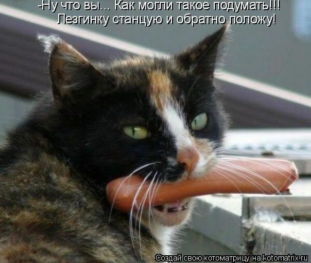 -Ну что вы... Как могли такое подумать!!! Лезгинку станцую и обратно положу!... Котоматрица: -Ну что вы... Как могли такое подумать!!! Лезгинку станцую и обратно положу!