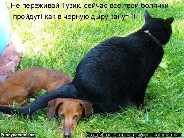 Не переживай Тузик, сейчас все твои болячки пройдут! как в черную дыру канут!!!... Котоматрица: Не переживай Тузик, сейчас все твои болячки пройдут! как в черную дыру канут!!!