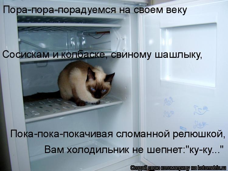 Пора-пора-порадуемся на своем веку Сосискам и колбаске, свиному шашлыку, Пока-пока-покачивая сломанн... Котоматрица: Пора-пора-порадуемся на своем веку Сосискам и колбаске, свиному шашлыку, Пока-пока-покачивая сломанной релюшкой, Вам холодильник не шепне