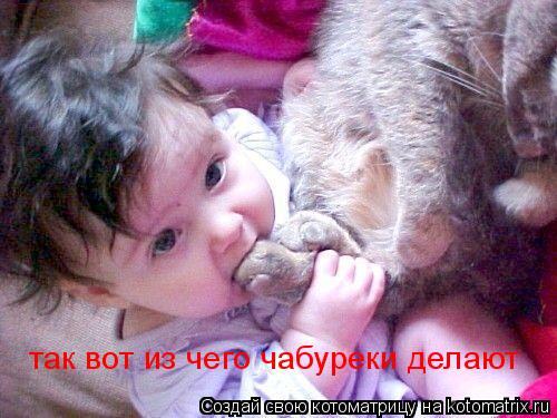 Котоматрица: так вот из чего чабуреки делают
