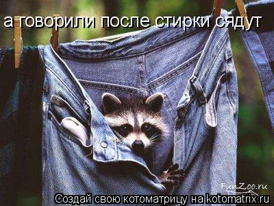 Котоматрица: а говорили после стирки сядут  а говорили после стирки сядут