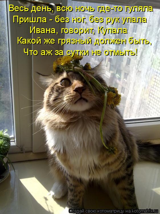 Весь день, всю ночь где-то гуляла Пришла - без ног, без рук упала Ивана, говорит, Купала Какой же гря... Котоматрица: Весь день, всю ночь где-то гуляла Пришла - без ног, без рук упала Ивана, говорит, Купала Какой же грязный должен быть, Что аж за сутки не отмыть