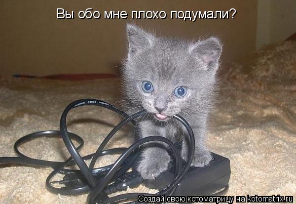 Котоматрица: Вы обо мне плохо подумали?