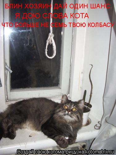 Котоматрица: БЛИН ХОЗЯИН ДАЙ ОДИН ШАНС  Я ДОЮ СЛОВА КОТА  ЧТО БОЛЬШЕ НЕ СЕМЬ ТВОЮ КОЛБАСУ