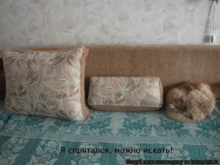 Котоматрица: Я спрятался, можно искать!