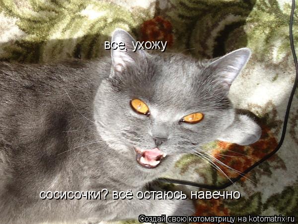 Котоматрица: все, ухожу сосисочки? всё остаюсь навечно