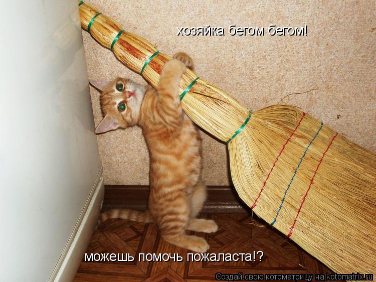 Котоматрица: хозяйка бегом бегом!  можешь помочь пожаласта!?