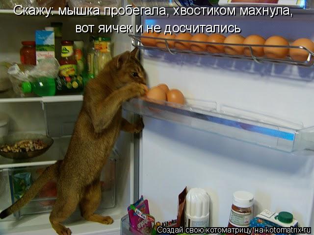 Котоматрица: Скажу: мышка пробегала, хвостиком махнула, вот яичек и не досчитались
