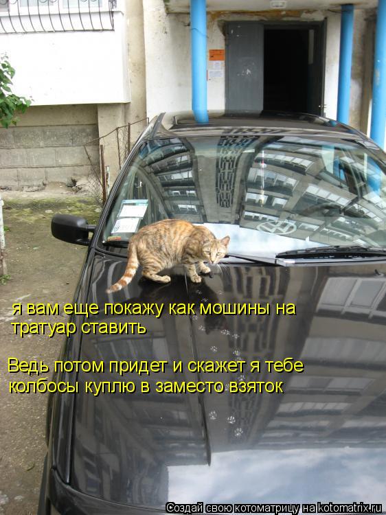 я вам еще покажу как мошины на тратуар ставить Ведь потом придет и скажет я тебе колбосы куплю в за... Котоматрица: я вам еще покажу как мошины на тратуар ставить Ведь потом придет и скажет я тебе колбосы куплю в заместо взяток