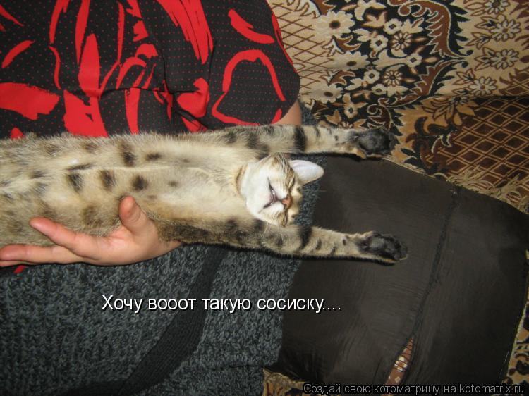 Хочу вооот такую сосиску....... Котоматрица: Хочу вооот такую сосиску....