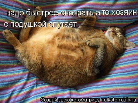 надо быстрее сползать а то хозяин с подушкой спутает... Котоматрица: надо быстрее сползать а то хозяин с подушкой спутает