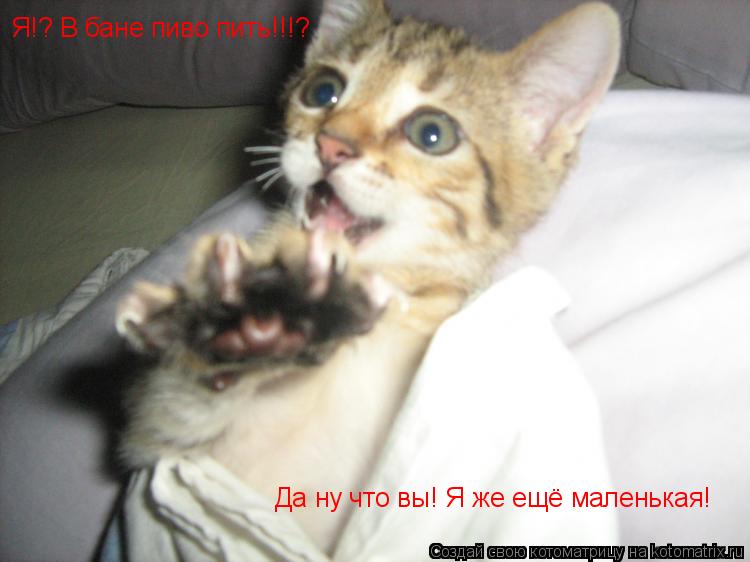 Я!? В бане пиво пить!!!? Да ну что вы! Я же ещё маленькая!... Котоматрица: Я!? В бане пиво пить!!!? Да ну что вы! Я же ещё маленькая!