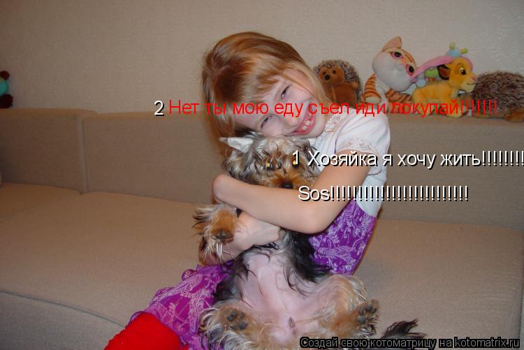 Хозяйка я хочу жить!!!!!!!! Нет ты мою еду съел иди покупай!!!!!!! Sos!!!!!!!!!!!!!!!!!!!!!!!!! 2 1... Котоматрица: Хозяйка я хочу жить!!!!!!!! Нет ты мою еду съел иди покупай!!!!!!! Sos!!!!!!!!!!!!!!!!!!!!!!!!! 2 1