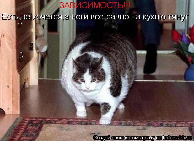 ЗАВИСИМОСТЬ!!! Есть не хочется,а ноги все равно на кухню тянут... Котоматрица: ЗАВИСИМОСТЬ!!! Есть не хочется,а ноги все равно на кухню тянут