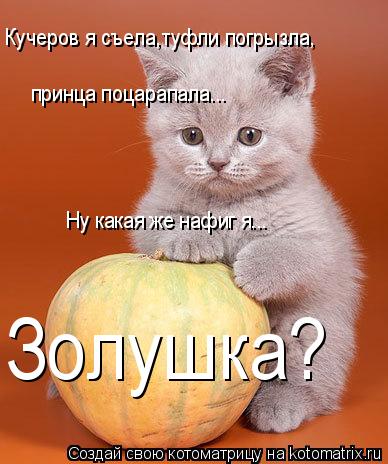Котоматрица: Кучеров я съела,туфли погрызла, принца поцарапала... Ну какая же нафиг я... Золушка?
