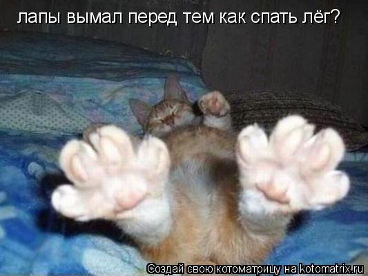 Котоматрица: лапы вымал перед тем как спать лёг?