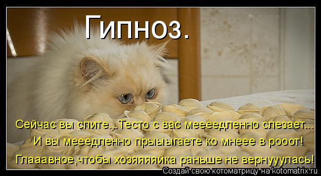 Котоматрица: Гипноз. Сейчас вы спите...Тесто с вас меееедленно слезает... И вы мееедленно прыыыгаете ко мнеее в рооот! Глааавное,чтобы хозяяяяйка раньше н