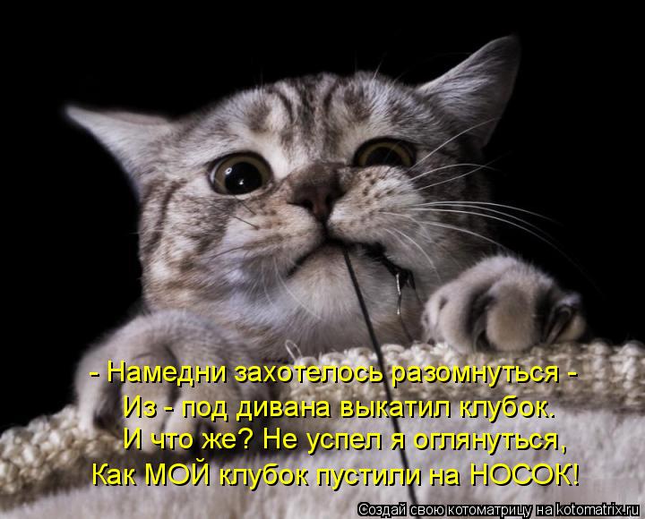 - Намедни захотелось разомнуться - Из - под дивана выкатил клубок. И что же? Не успел я оглянуться,... Котоматрица: - Намедни захотелось разомнуться - Из - под дивана выкатил клубок. И что же? Не успел я оглянуться, Как МОЙ клубок пустили на НОСОК!