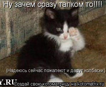 Ну зачем сразу тапком то!!!! (Надеюсь сейчас пожалеют и дадут колбаски)... Котоматрица: Ну зачем сразу тапком то!!!! (Надеюсь сейчас пожалеют и дадут колбаски)
