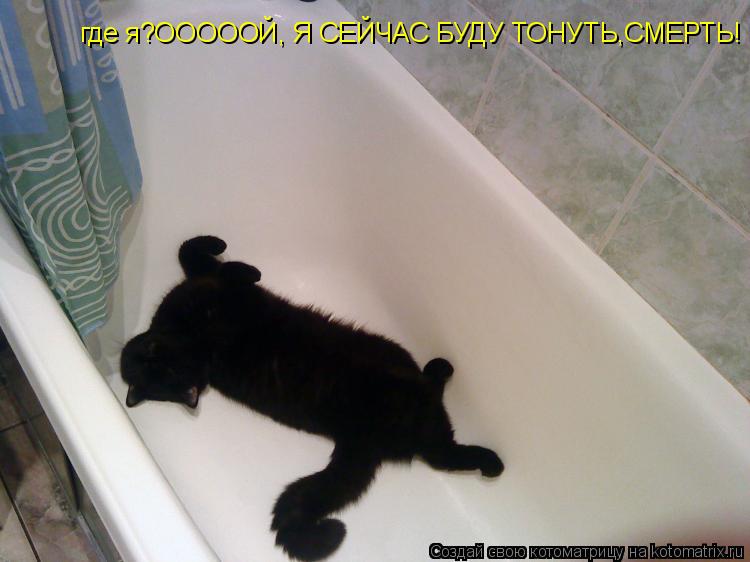 где я?ОООООЙ, Я СЕЙЧАС БУДУ ТОНУТЬ,СМЕРТЬ!... Котоматрица: где я?ОООООЙ, Я СЕЙЧАС БУДУ ТОНУТЬ,СМЕРТЬ!