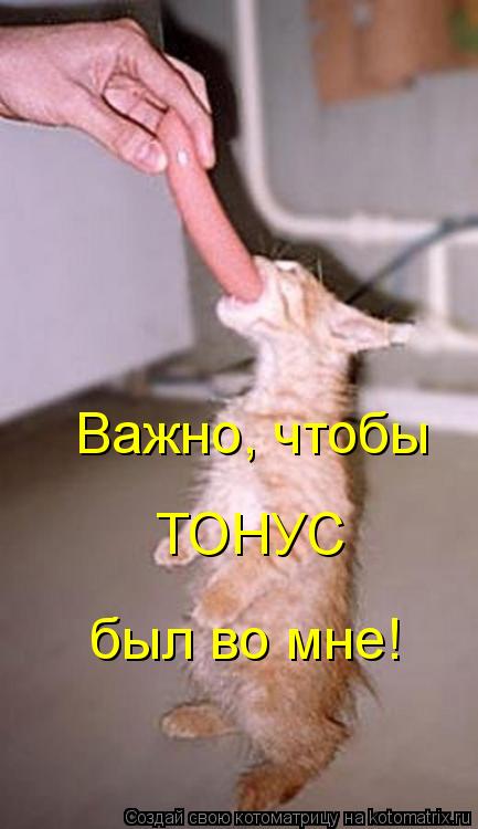ТОНУС был во мне! Важно, чтобы... Котоматрица: ТОНУС был во мне! Важно, чтобы