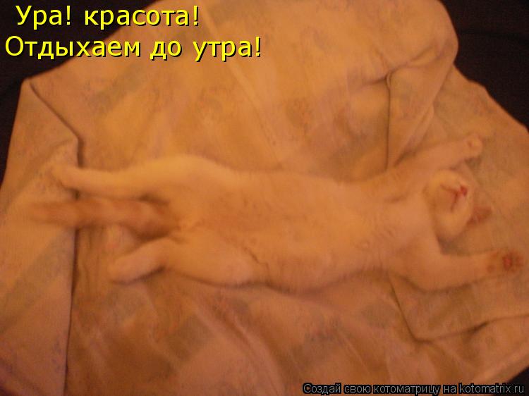 Котоматрица: Ура! красота!  Отдыхаем до утра!